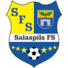 萨拉斯皮尔斯